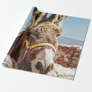 HI DONKEY CADEAUPAPIER