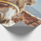 HI DONKEY CADEAUPAPIER (Hoek)