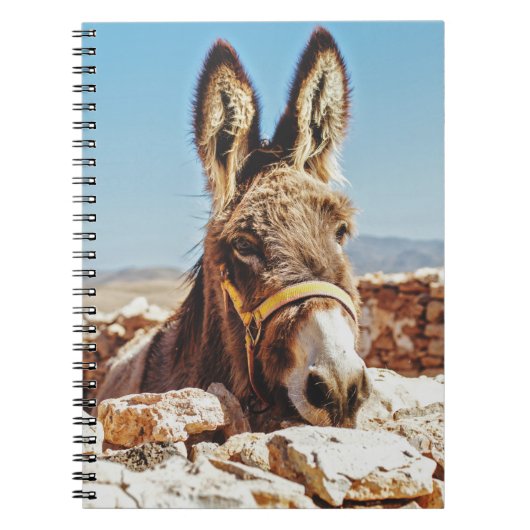 HI DONKEY NOTITIEBOEK (Voorkant)