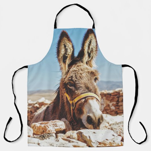HI DONKEY SCHORT (Voorkant)