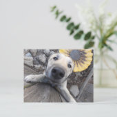 Hi Er Doggy Briefkaart (Staand voorkant)