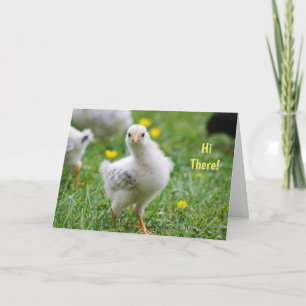 Hi Er is Baby Chick Happy Pasen Feestdagen Kaart