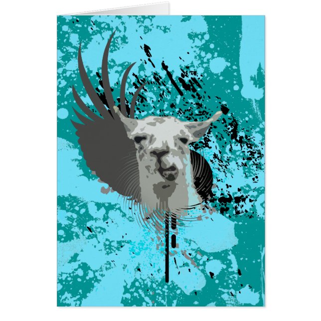 hi-fi llama. (Voorkant)