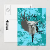 hi-fi llama. briefkaart (Voorkant / Achterkant)