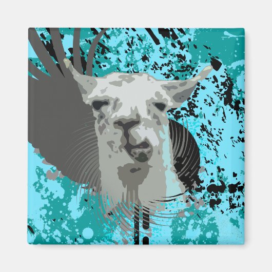 hi-fi llama. magneet (Voorkant)