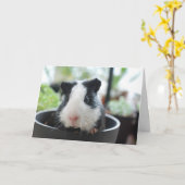 Hi Guinea Pig Kaart (Gele Bloem)