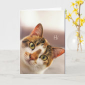 Hi Hello How are You? Cute Cat Kitten Animal Humor Kaart (Gele Bloem)