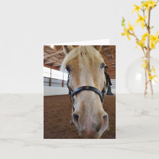 "Hi" Horse Kaart (Gele Bloem)