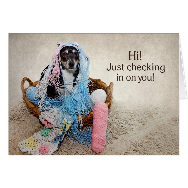 HI! - HUMOR - DOG TANGLED IN YARN (Voorkant Horizontaal)