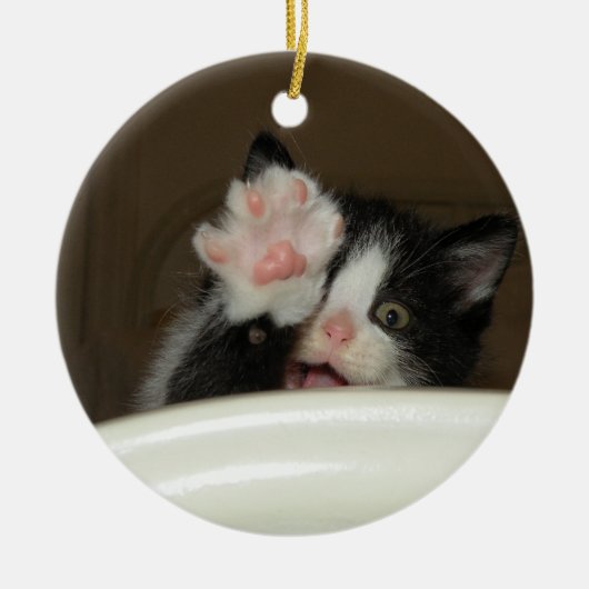 "Hi" Kitten Ornament (Voorkant)