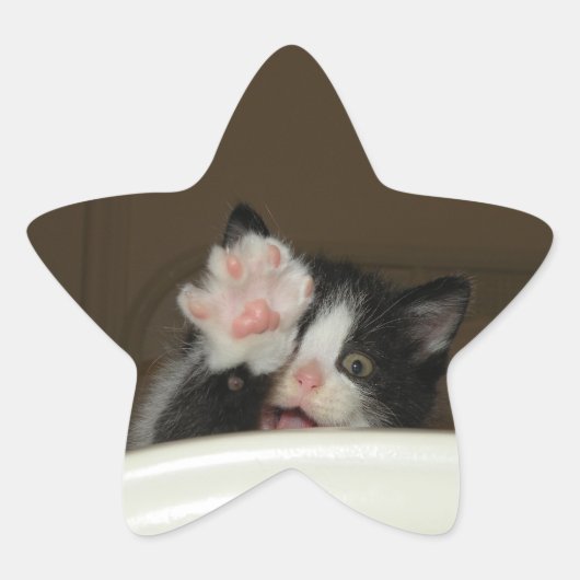 Hi kitten ster stickers (Voorkant)