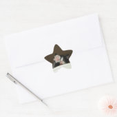 Hi kitten ster stickers (Envelop)
