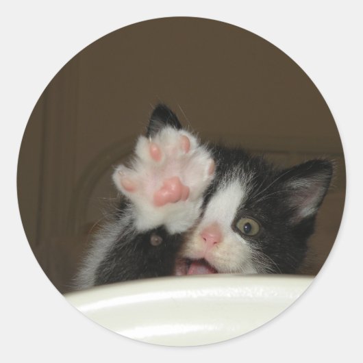 "Hi" Kitten stickers (Voorkant)