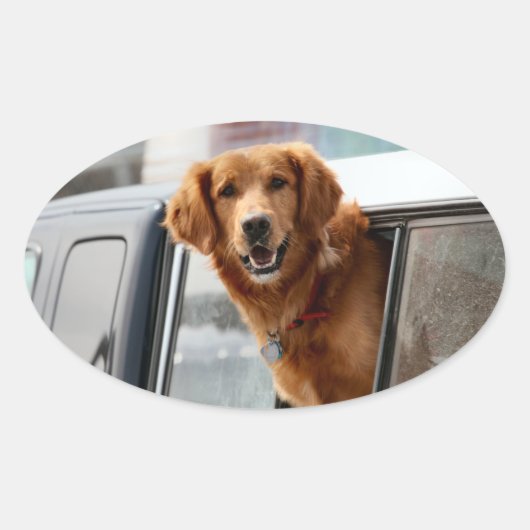 Hi Ovale Sticker (Voorkant)