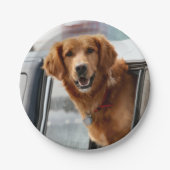 Hi Papieren Bordje (Voorkant)