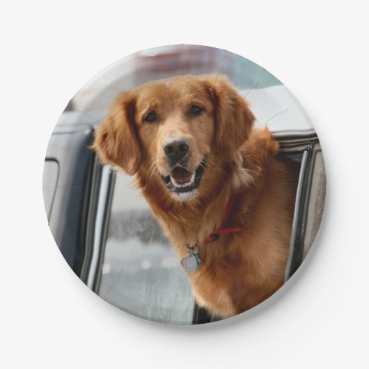 Hi Papieren Bordje (Voorkant)