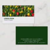 Hi-Phi - 003 - Tulpen Visitekaartje (Voorkant / Achterkant)