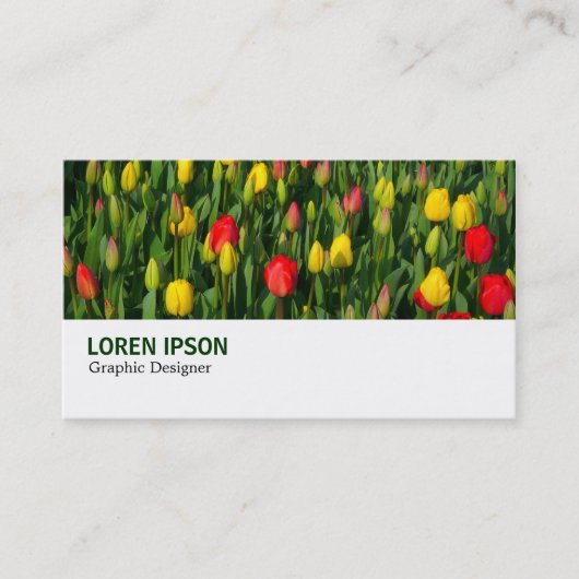 Hi-Phi - 003 - Tulpen Visitekaartje (Voorkant)