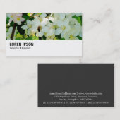 Hi-Phi - 0194 - Making Honey Visitekaartje (Voorkant / Achterkant)