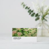 Hi-Phi - 0244 - Sedum "Autumn Joy" Visitekaartje (Staand voorkant)