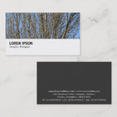 Hi-Phi - 0276 - Sunlit Branches Visitekaartje (Voorkant / Achterkant)