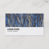 Hi-Phi - 0279 - Silver Birch Branches Visitekaartje (Voorkant)