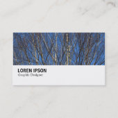 Hi-Phi - 0280 - Silver Birch Branches Visitekaartje (Voorkant)