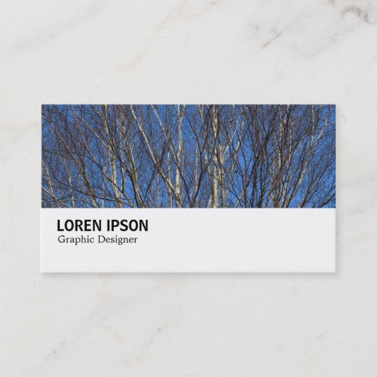 Hi-Phi - 0280 - Silver Birch Branches Visitekaartje (Voorkant)