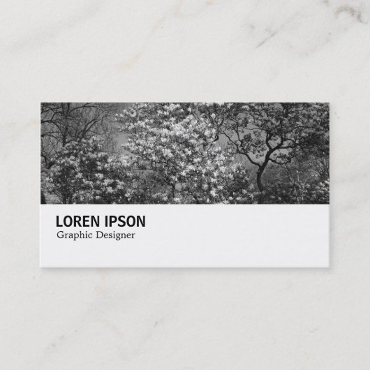 Hi-Phi - 0291 - Magnolia Tree in Blossom Visitekaartje (Voorkant)