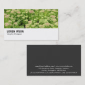 Hi-Phi - 0311 - Sedum (Herfstvreugde) Visitekaartje (Voorkant / Achterkant)
