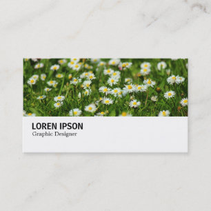 Hi-Phi - 0388 - Daisy Meadow Visitekaartje