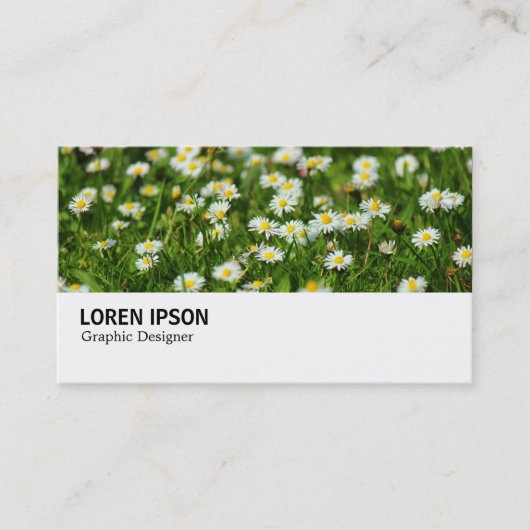 Hi-Phi - 0388 - Daisy Meadow Visitekaartje (Voorkant)