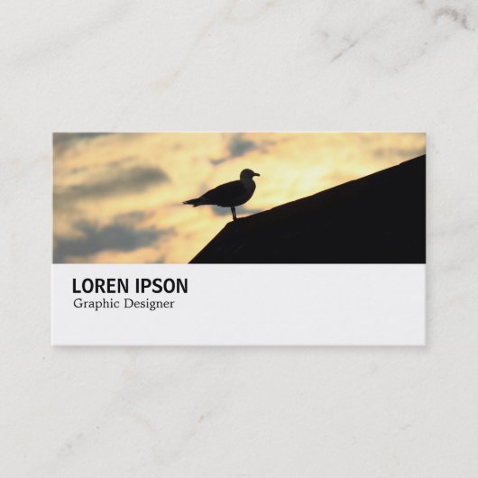 Hi-Phi - 0389 - Haring Gull Sunset Visitekaartje (Voorkant)