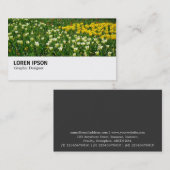 Hi-Phi - 038 - Bed of Tulips Visitekaartje (Voorkant / Achterkant)