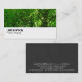 Hi-Phi - 064 - in de bomen Visitekaartje (Voorkant / Achterkant)