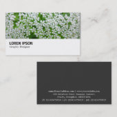 Hi-Phi - 078 - Koe peterselie Visitekaartje (Voorkant / Achterkant)