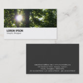 Hi-Phi - 095 - Sun Through Trees Visitekaartje (Voorkant / Achterkant)