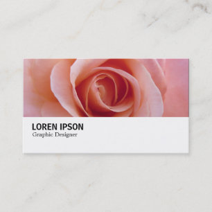 Hi-Phi - 097 - Roze Rose Visitekaartje
