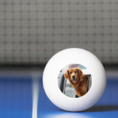 Hi Ping pong bal Pingpongbal (Net)