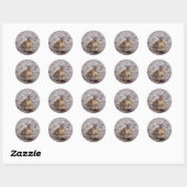 Hi Ronde Sticker (Vel)