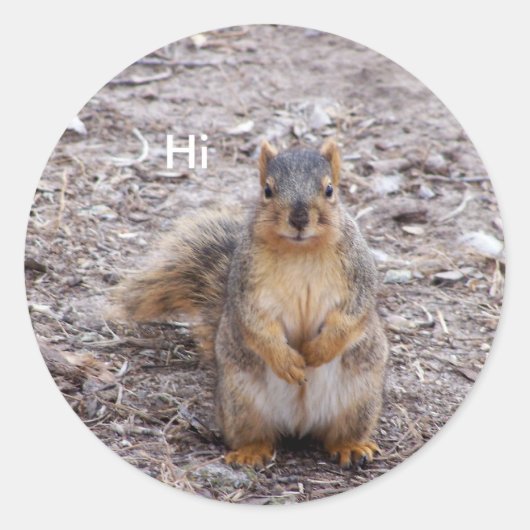 Hi Ronde Sticker (Voorkant)