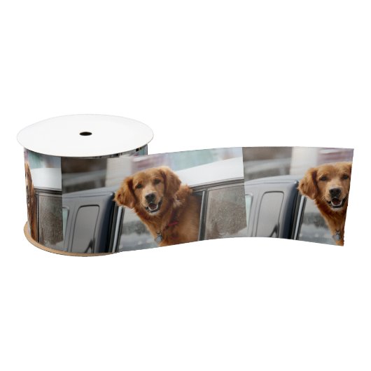 Hi Satijnen Lint (Spoel)