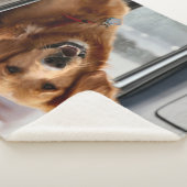 Hi Sherpa Deken (3/4)