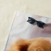 Hi Strandlaken (In situ)