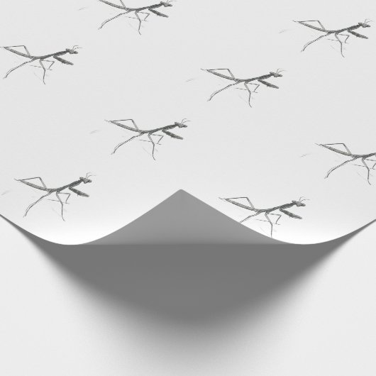 Hi there! Praying Mantis Cadeaupapier (Hoek)