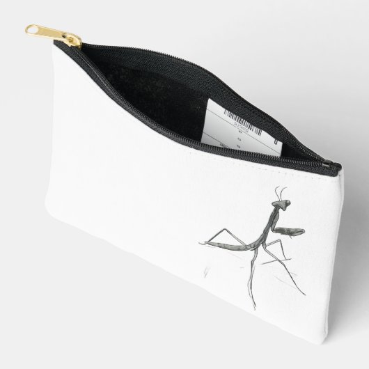 Hi there! Praying Mantis Etui (Open)