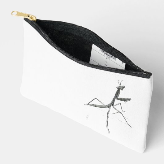 Hi there! Praying Mantis Etui (Open)