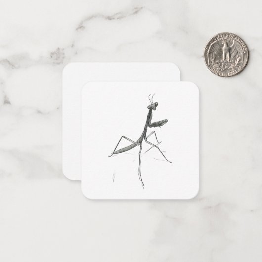 Hi there! Praying Mantis Notitiekaartje (Voorkant / Achterkant in situ)