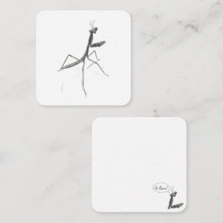 Hi there! Praying Mantis Notitiekaartje