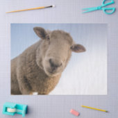 Hi-Tissue paper Tissuepapier (Craft)